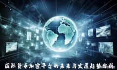 国际货币加密平台的未来