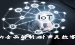 币圈钱包的全面解析：什