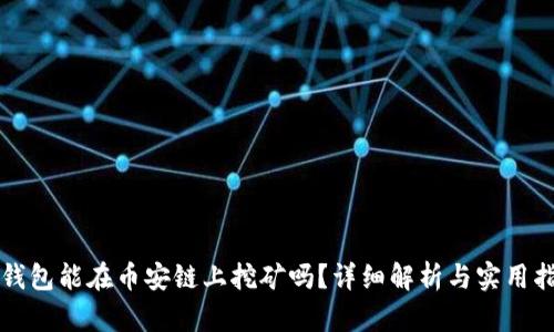 TP钱包能在币安链上挖矿吗?详细解析与实用指南