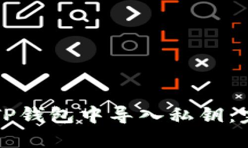 如何在TP钱包中导入私钥:完整指南