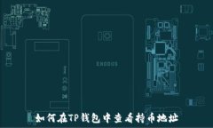   如何在TP钱包中查看持币