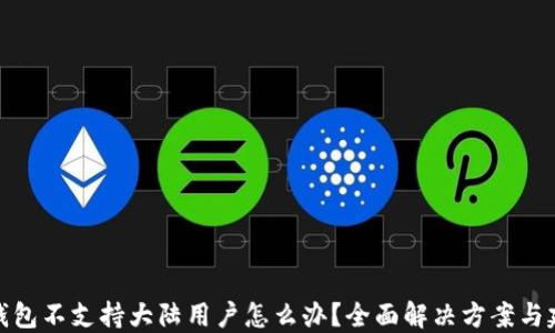 
TP钱包不支持大陆用户怎么办？全面解决方案与建议