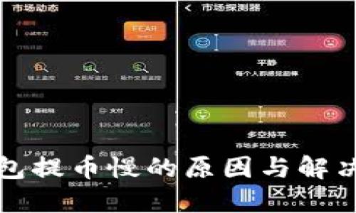 TP钱包提币慢的原因与解决方案