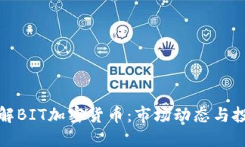 深入了解BIT加密货币：市场动态与投资策略