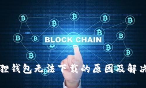 小狐狸钱包无法下载的原因及解决方案