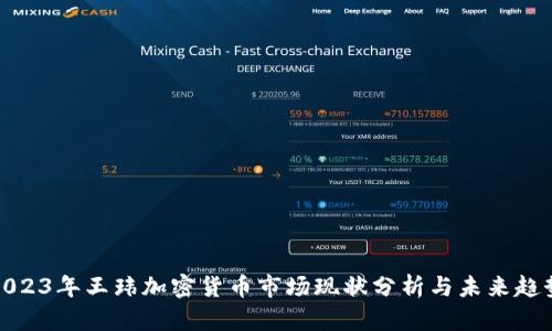 2023年王玮加密货币市场现状分析与未来趋势