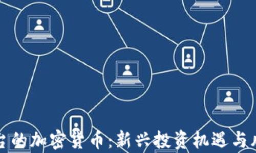 
没有平台的加密货币：新兴投资机遇与风险探讨