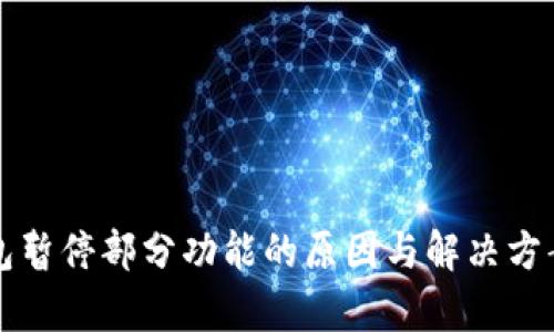 TP钱包暂停部分功能的原因与解决方案分析