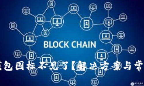 苹果版TP钱包图标不见了？解决方案与常见问题解析