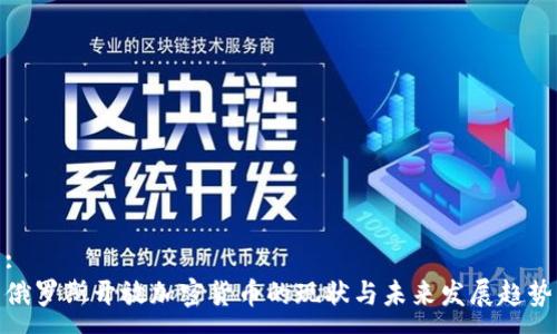 :
俄罗斯开放加密货币的现状与未来发展趋势