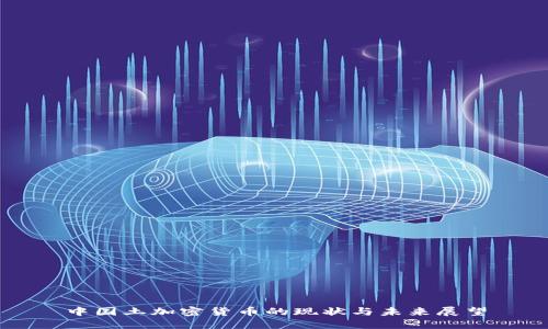 中国土加密货币的现状与未来展望