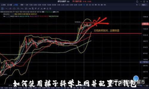 
如何使用梯子科学上网并配置TP钱包