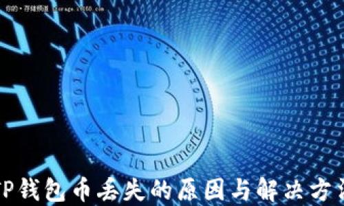 TP钱包币丢失的原因与解决方法