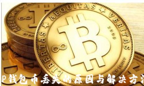 
TP钱包币丢失的原因与解决方法