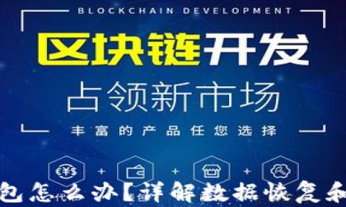 
误删TP钱包怎么办？详解数据恢复和预防措施