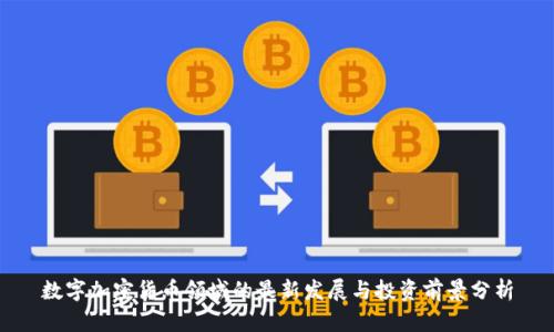 数字加密货币领域的最新发展与投资前景分析