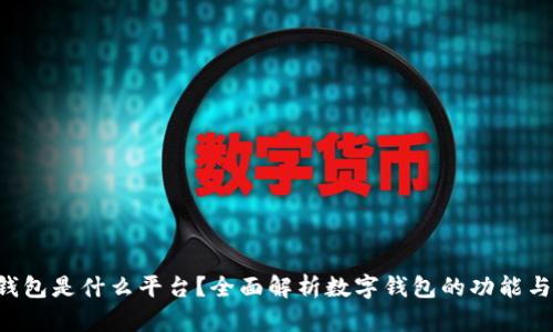Koo钱包是什么平台？全面解析数字钱包的功能与特点