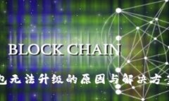 TP钱包无法升级的原因与解