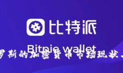 美国与俄罗斯的加密货币市场现状与前景分析