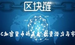 探索CSC加密货币的未来：投资潜力与市场动态