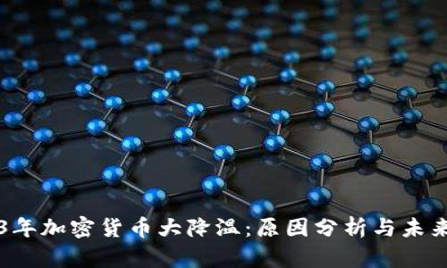 2023年加密货币大降温：原因分析与未来展望
