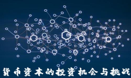 
加密货币资本的投资机会与挑战分析